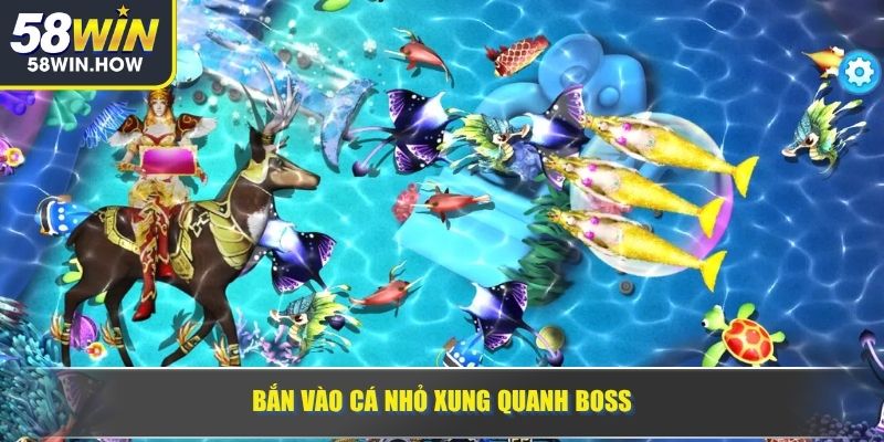 Bắn vào cá nhỏ xung quanh boss