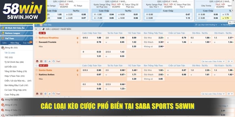 Các loại kèo cược phổ biến tại Saba Sports 58WIN