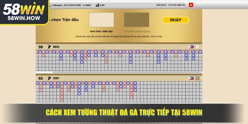 Cách xem tường thuật đá gà trực tiếp tại 58WIN