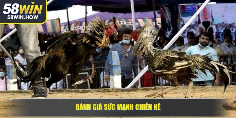 Đánh giá sức mạnh chiến kê