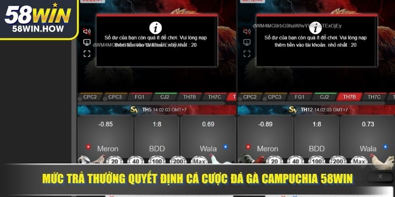 Mức trả thưởng quyết định cá cược đá gà Campuchia 58WIN