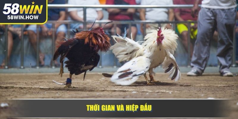 Thời gian và hiệp đấu